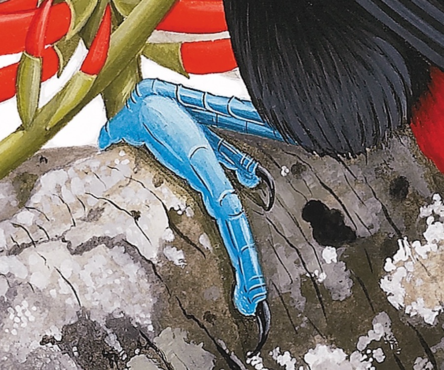 Detail · Feet and bark