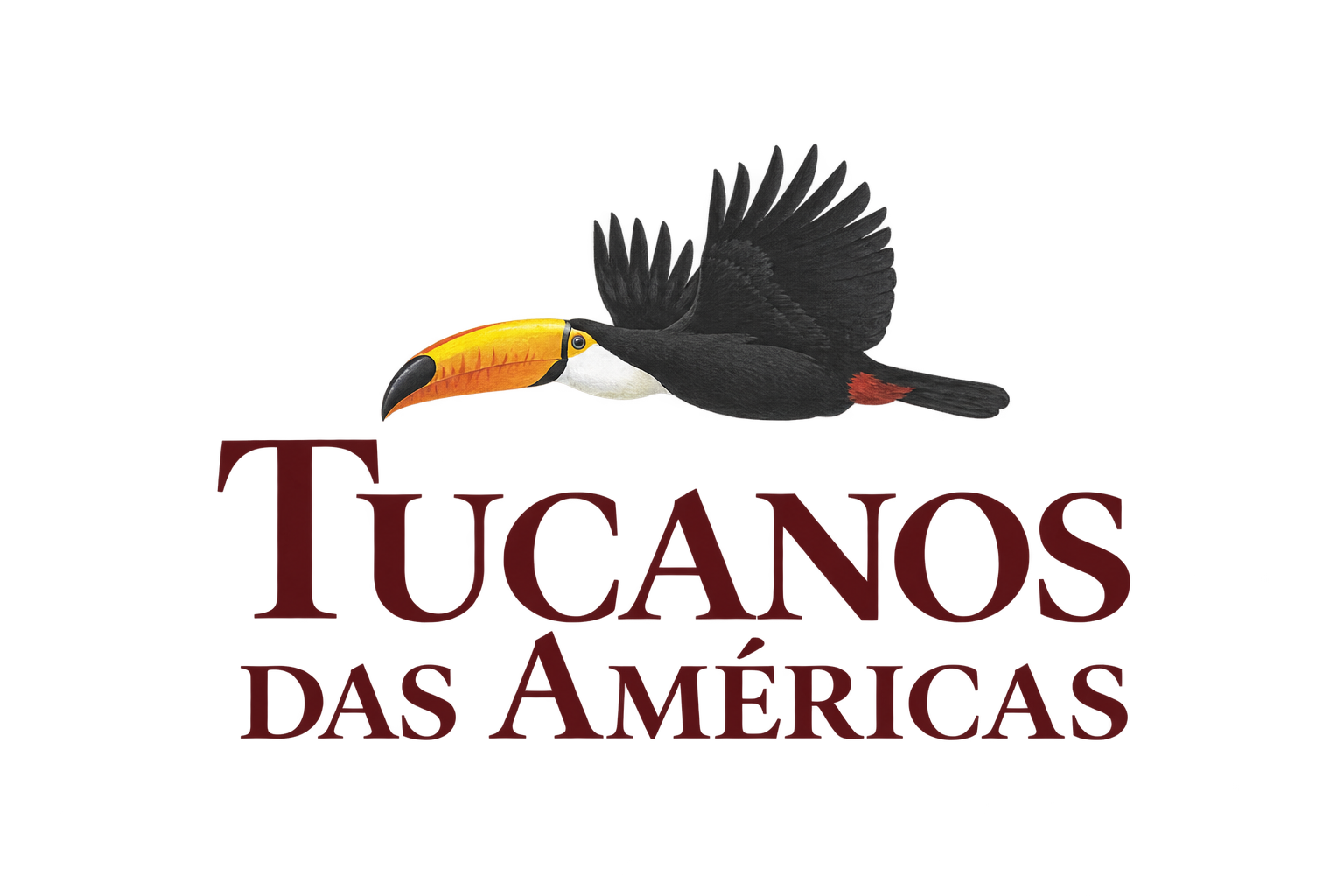 Tucanos das Américas
