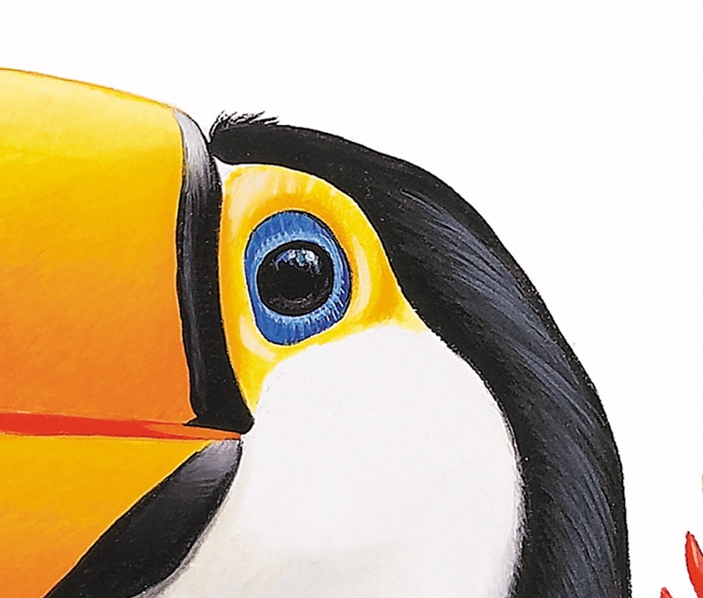 Detail · Eye and bill