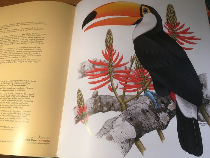 Prancha 44 no livro