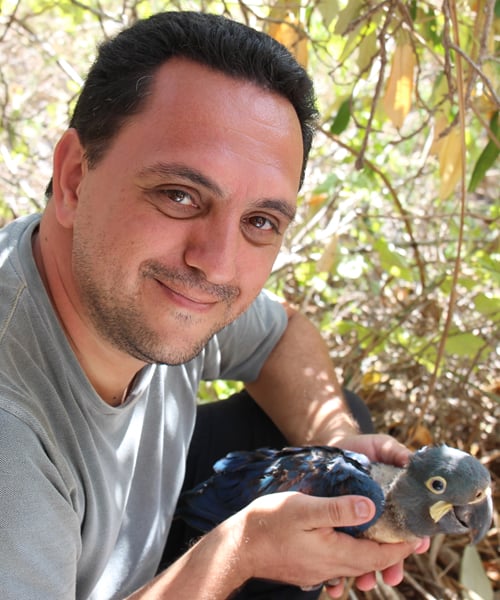 Prof. Dr. Luís Fábio Silveira